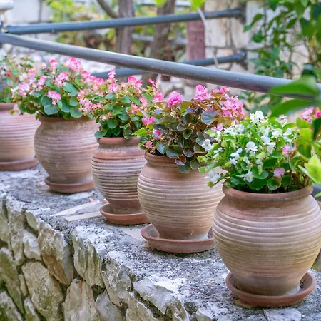 Rania-apartments 2 * Argostoli (Kefalonia)